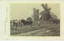 牛舎及ホルスタイン種牡牛