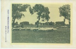 放牧地より畜産科事務所及び畜舎を望む