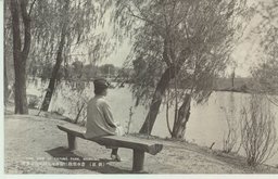 （新京）蒼水翠綠に溢るゝ大同公園の雅景