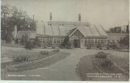 （大連）百花妍を競ふ小村公園溫室