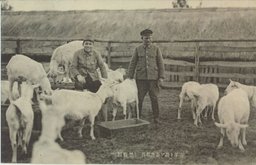 山羊ト遊ブ畜産部員