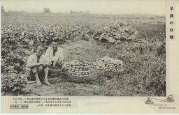 早晨の収穫　滿洲國・民衆風俗