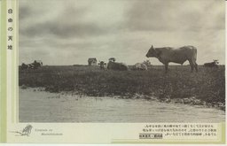 自由の天地　滿洲國・民衆風俗