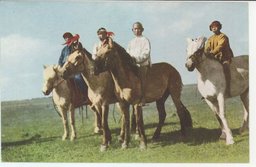 競馬のスタート