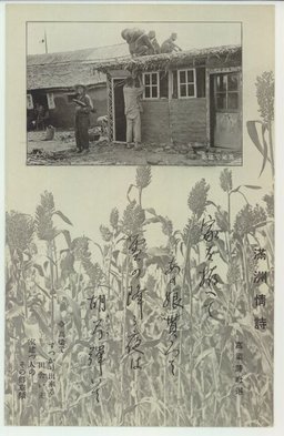 滿洲情詩　高粱で建築