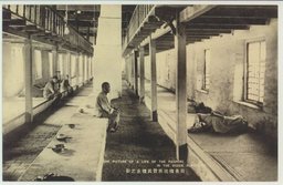 同善樓流所貧民樓止之影