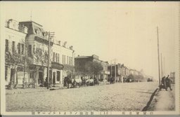 新市街ノウオトルゴーヤ街