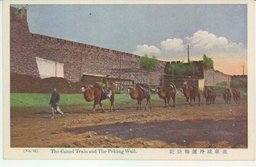 北京城外運輸駱駝