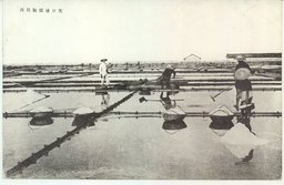 天日鹽採取状況