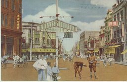 天津河北大胡同