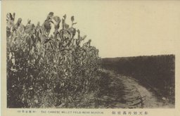 奉天郊外高粱畑