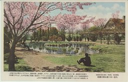 大連・星ヶ浦公園の櫻花