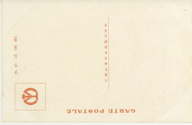 裏面_大豆の播種