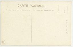 裏面_(大連)中央公園内のアカシア並木