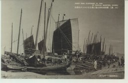 (大連)露西亜町波止場に集まるジアンクの群れ