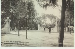 (大連)　薫風緑陰さ華やかなる中央公園