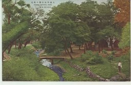 大連中央公園の風光