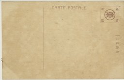 裏面_大連電気遊園地全景