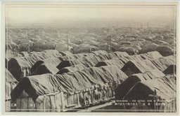 (満州情景)　大豆・・・・・・見渡す限りの大豆の海