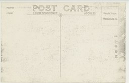 裏面_奉天郊外東陵華麗なる隆恩紅門と万年松