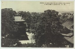 (奉天)郊外東陵より渾河を望む