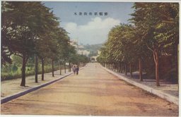 旅順新市街並木