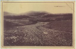 二〇三高地(爾霊山)