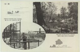 （新京）遊歩の樂園、白山公園　緑風薫る牡丹公園の風趣