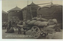 (公主嶺)富有なる良桟(穀物問屋)の庭に堆高く積まれたる□貨