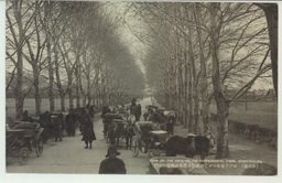 (公主嶺)ポプラ並木つゞく清爽たる農事試験場の正門