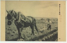 開拓女士の農耕