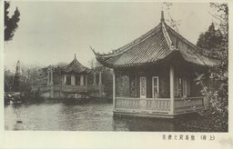 (上海)敷島庭之櫻花