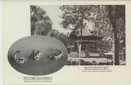 天津日本租界大和公園　　　　　　　　　　　　　　教育参考資料天津付近に繁殖せる害虫蠍