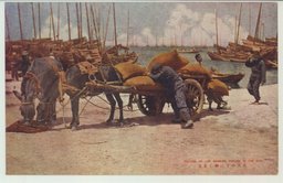 炎天の下に働く苦力