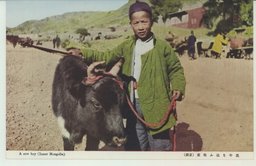 黒牛を追ふ牧童　(蒙彊)