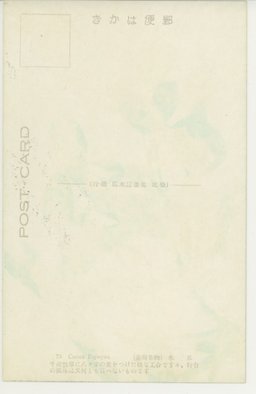 裏面_パン樹の実