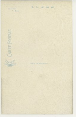 裏面_瑞光寺古塔